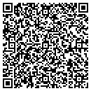 QR code with Czech Consulting LLC contacts