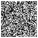 QR code with Prodo Consulting Inc contacts
