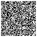 QR code with Ptl Consulting Inc contacts