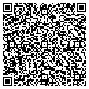 QR code with Pvaab Consulting LLC contacts