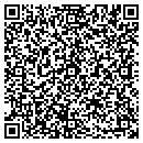 QR code with Project Maestro contacts