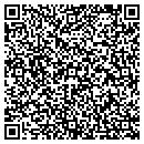 QR code with Cook Consulting Inc contacts