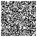 QR code with Ppg Consulting Inc contacts