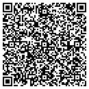 QR code with Bluewire Consulting contacts