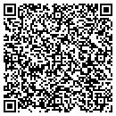 QR code with Carns Consulting Inc contacts
