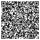 QR code with Cfs Consulting LLC contacts