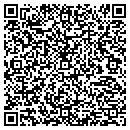 QR code with Cyclone Consulting Inc contacts
