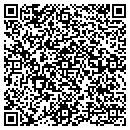 QR code with Baldrica Consulting contacts