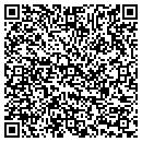 QR code with Consulting Hydrologist contacts