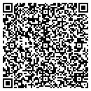 QR code with Precise Consulting Inc contacts