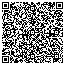 QR code with Brivea Consulting LLC contacts