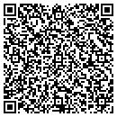 QR code with Pryor Consulting LLC contacts