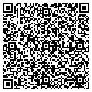 QR code with Cirrus Consulting LLC contacts