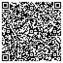 QR code with Carol Chiu Consulting contacts