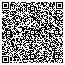 QR code with Cota Consulting LLC contacts
