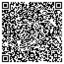 QR code with Cyber Consulting Inc contacts