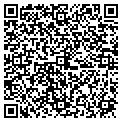 QR code with Maged contacts