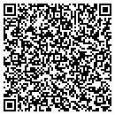 QR code with Cybernet Solutions Inc contacts