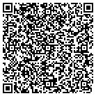 QR code with Tessi Travel Consultant contacts