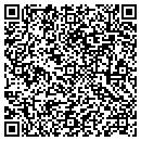 QR code with Pwi Consulting contacts