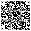 QR code with Currier Consultants contacts