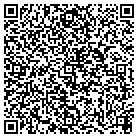 QR code with Public Consulting Group contacts