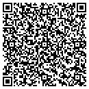 QR code with Carmines Consulting LLC contacts