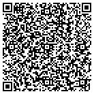QR code with Public Library Systems contacts