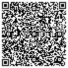 QR code with Platinum It Consulting contacts