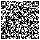 QR code with Pulliam Consulting contacts