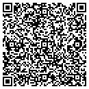 QR code with Pure Consulting contacts
