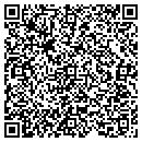 QR code with Steinmetz Consulting contacts