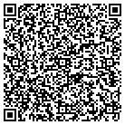 QR code with Teves Consulting LLC contacts
