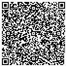 QR code with Bleyle Consulting LLC contacts