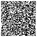 QR code with C D T Consulting LLC contacts