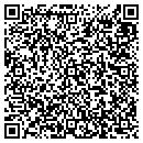 QR code with Prudent Solution Inc contacts