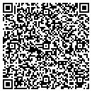 QR code with Carlsen Painting Inc contacts