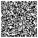 QR code with Blu-Sky Group contacts