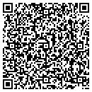 QR code with Bcg Systems Inc contacts