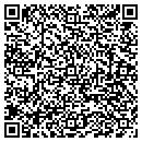 QR code with Cbk Consulting Inc contacts