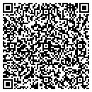 QR code with Cat Island Consulting contacts