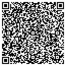 QR code with Cgit Consulting LLC contacts