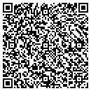 QR code with Chapa Consulting Inc contacts