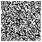QR code with Pristine Consultants Inc contacts