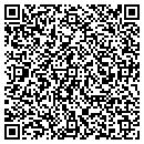QR code with Clear Blue Logic Inc contacts