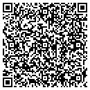QR code with Pyramid Systems contacts
