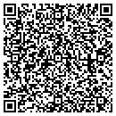 QR code with Carter Consulting LLC contacts
