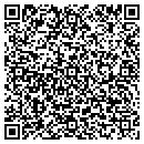 QR code with Pro Pool Consultants contacts