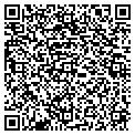 QR code with Calef contacts