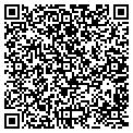 QR code with P D L Consulting LLC contacts